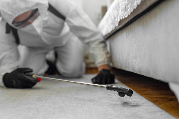Professional Termite Control technician working in Clare, MI