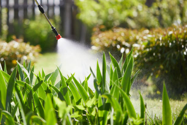 24/7 Emergency Termite Control experts in Clare, MI