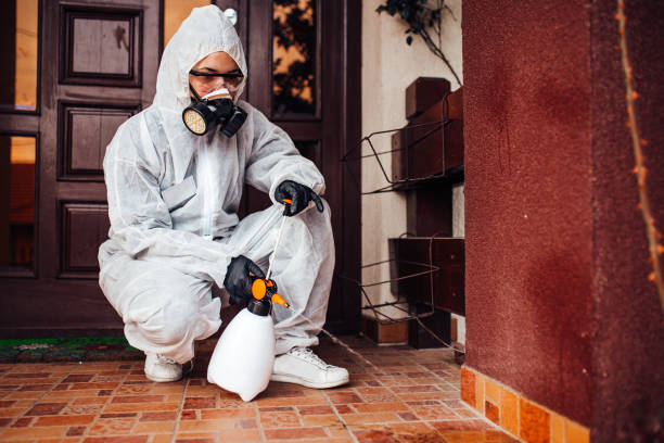 Reliable Termite Control contractor in Clare, MI by Nex Pest Control