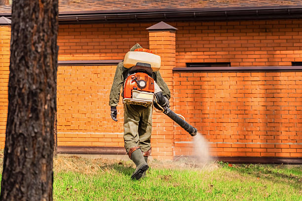 Top rated local Termite Control specialists in Clare, MI